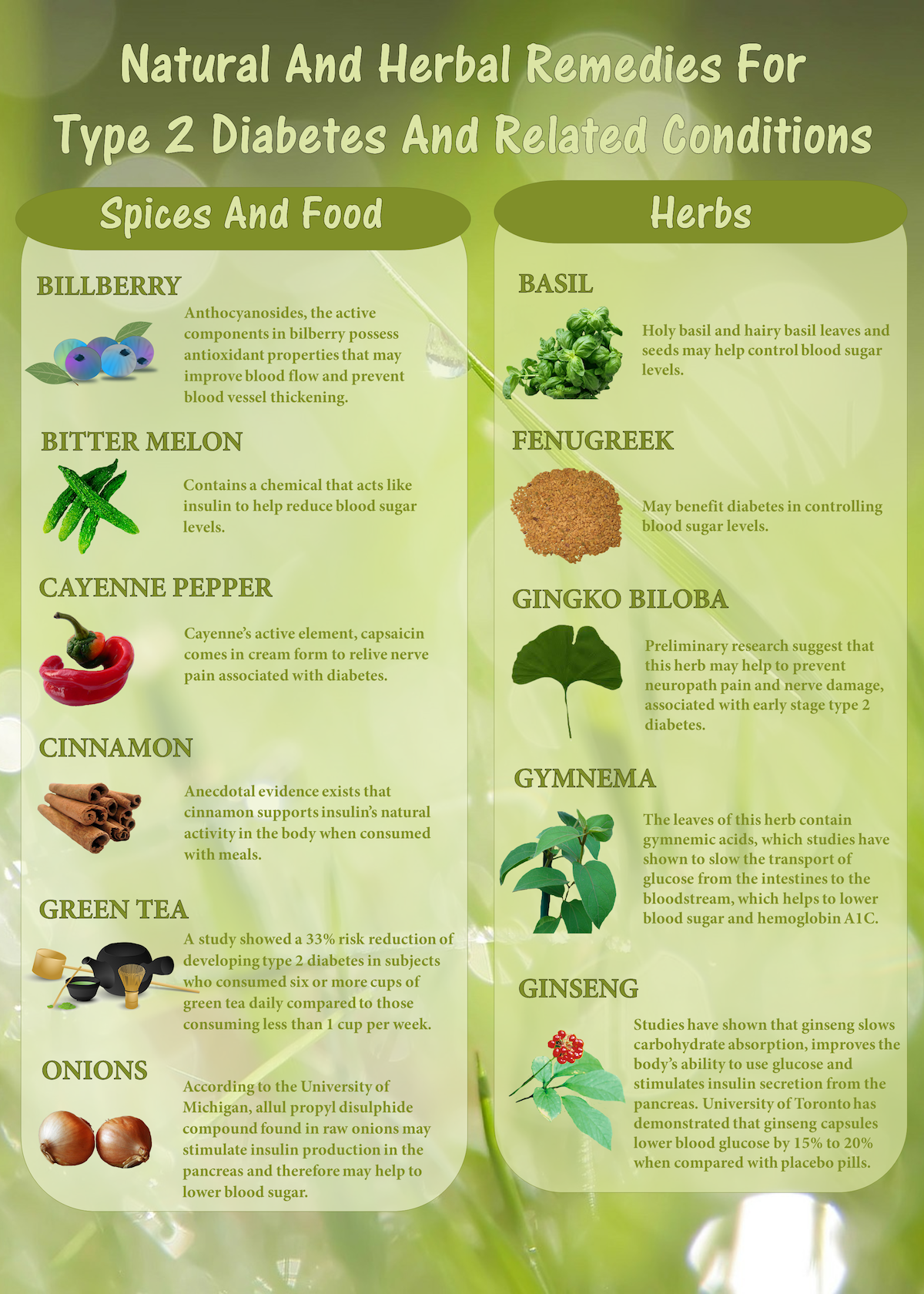 Natural Remedies For Type 2 Diabeties